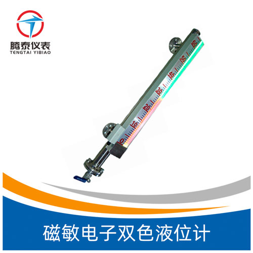 磁敏電子雙色液位計 磁敏電子雙色液位計